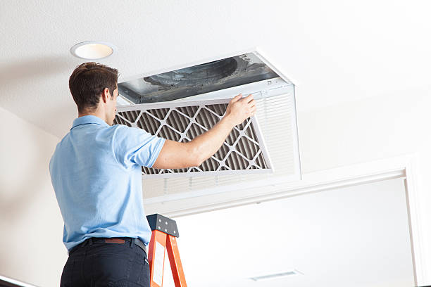 Best Solar-powered HVAC Systems in Lihue, HI